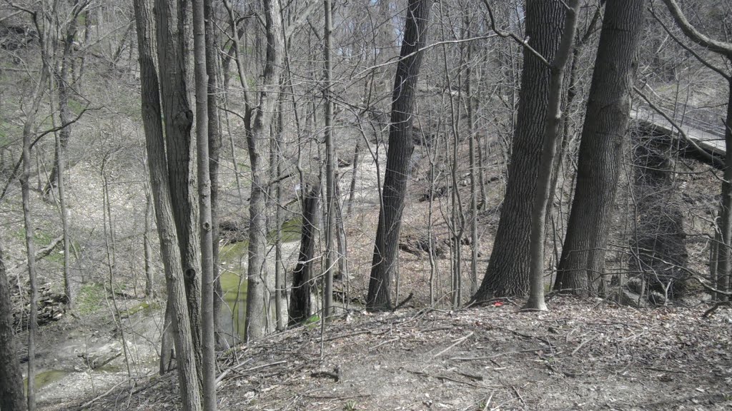 Moraine Park - Ravine