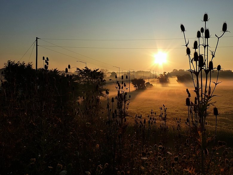Fog by the Toll Way