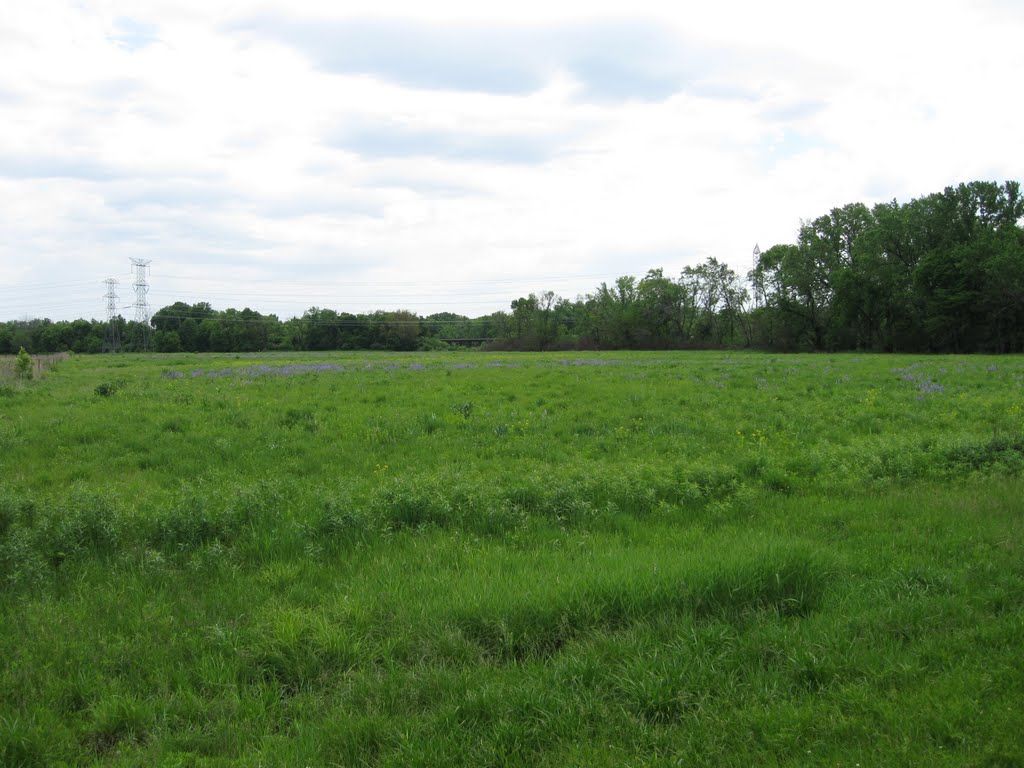 Illinois Prairie