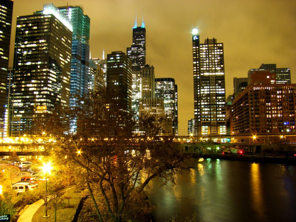 DSC09851 Chicago at Night - S view