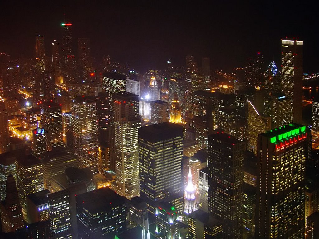 Chicago Night View from the Sears Towers Skydeck