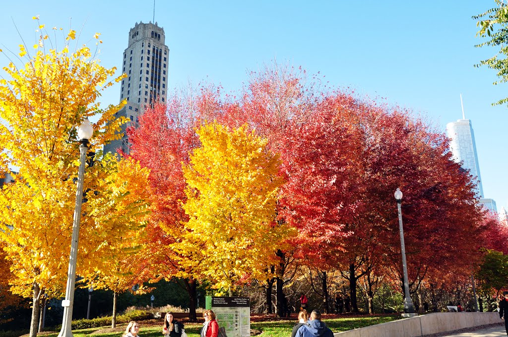 Millennium Park - Autumn colors