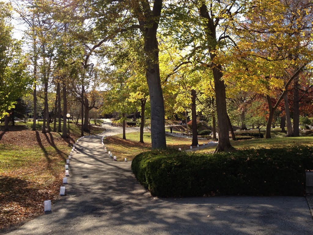 Beautiful autumn day on the Anderson University campus.