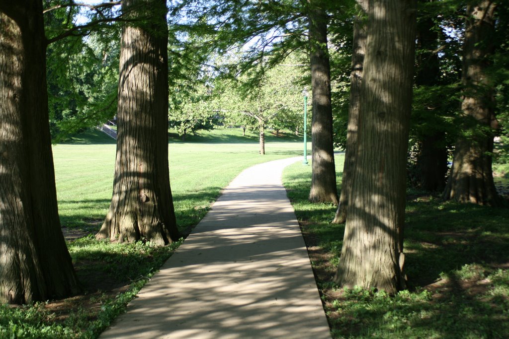 Tree walkway