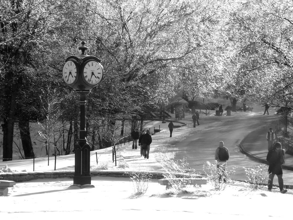 Indiana Universtiy in Winter