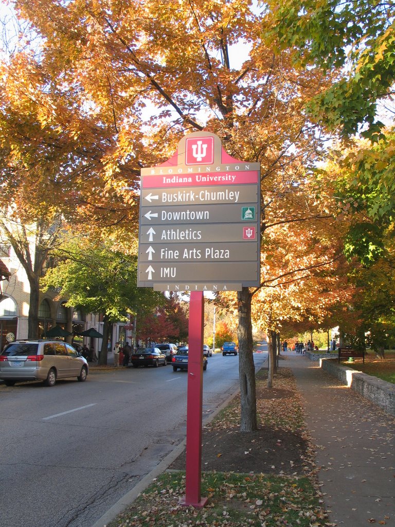Campus of Indiana University (Indiana Ave. looking toward Kirkwood Ave)