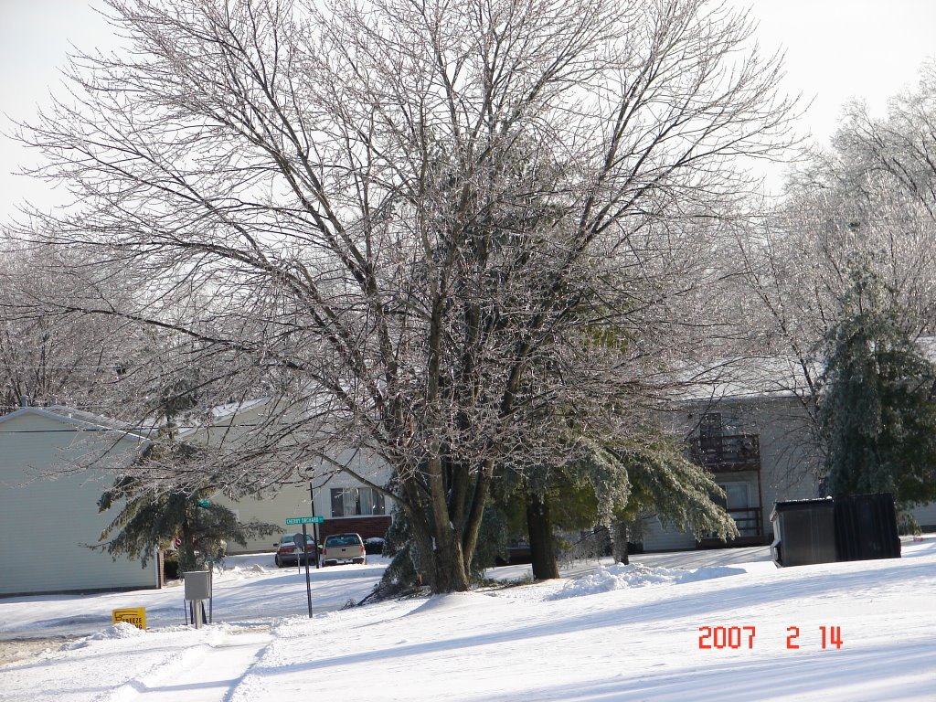blomıngton