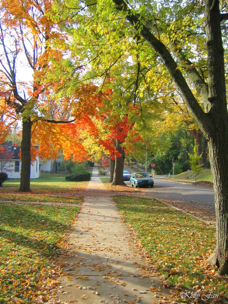 Bloomington Fall