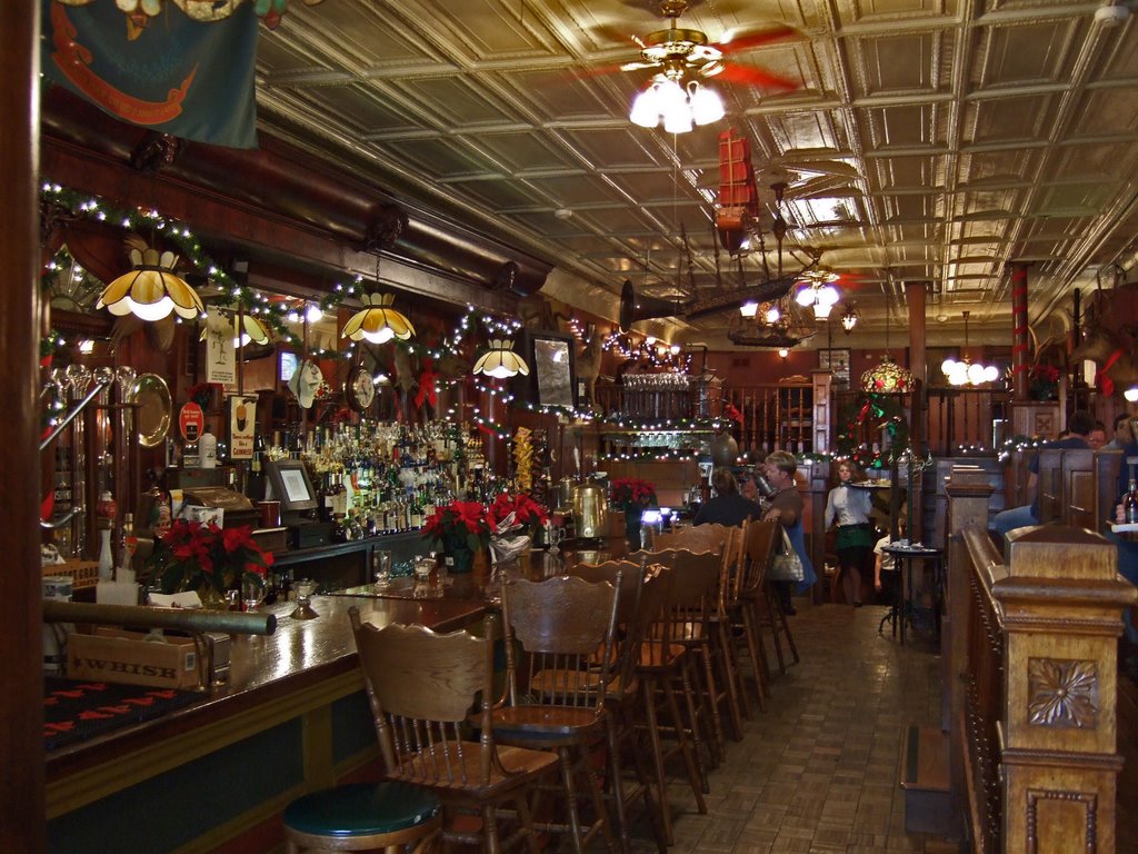 The Irish Lion - Interior