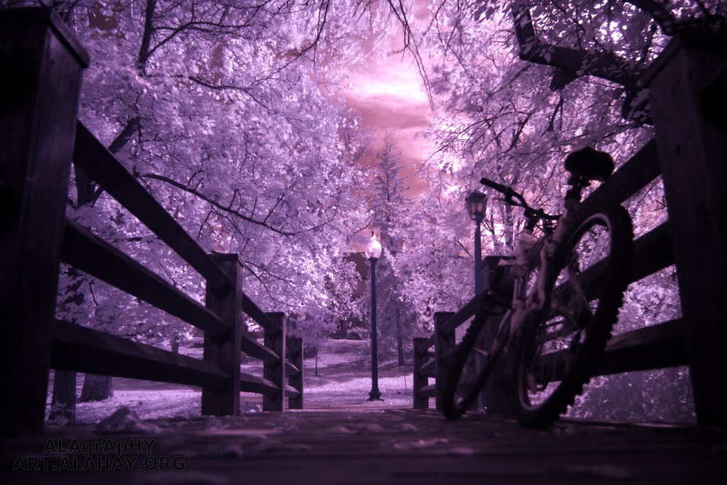 New Beginning