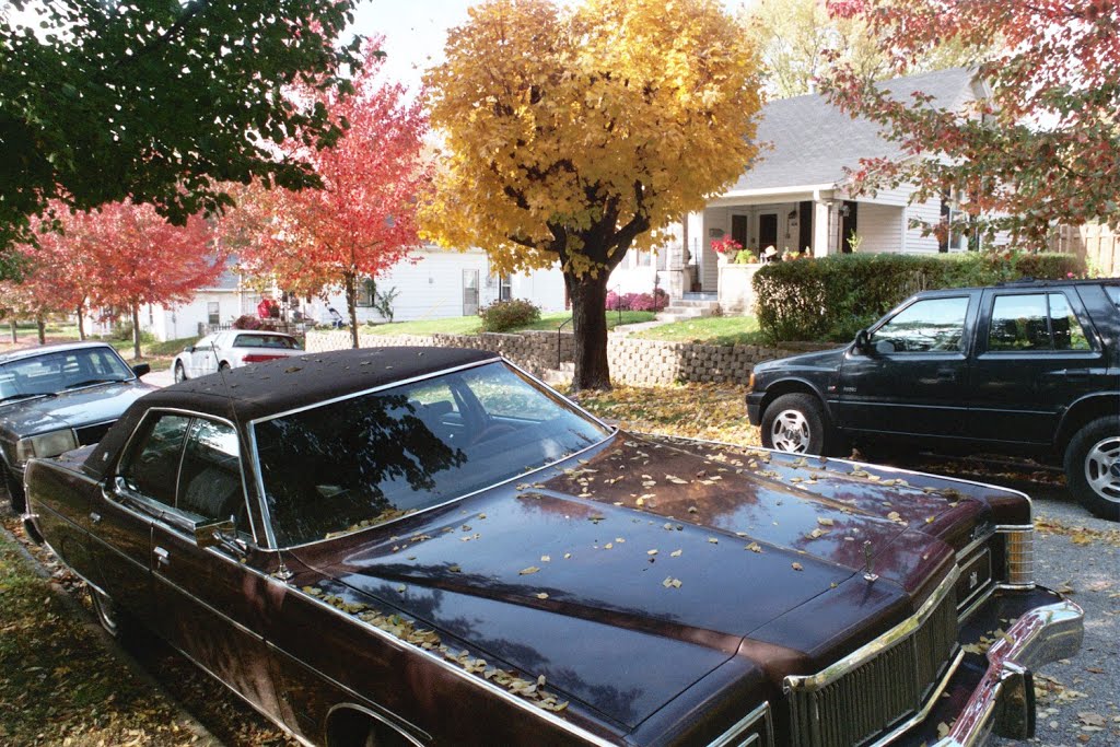 Streetview in Bloomington, IN