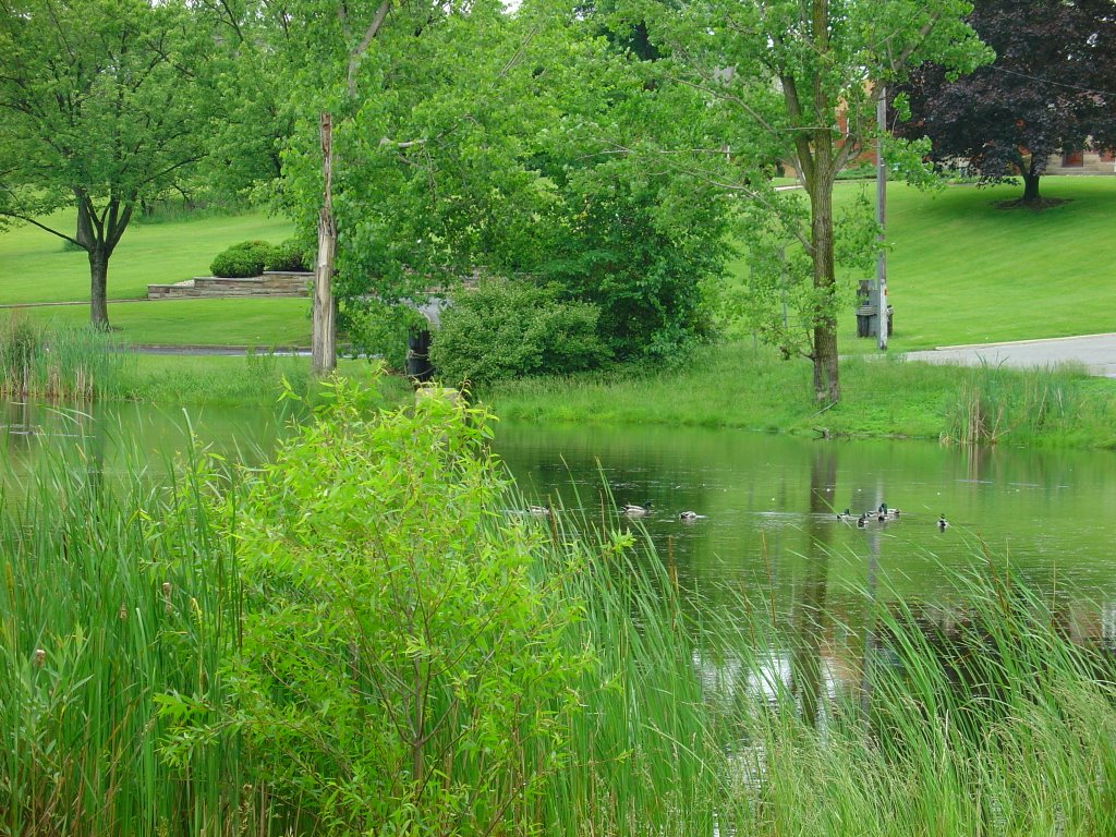 DSC08185  The Pond 6/10/06 - S view