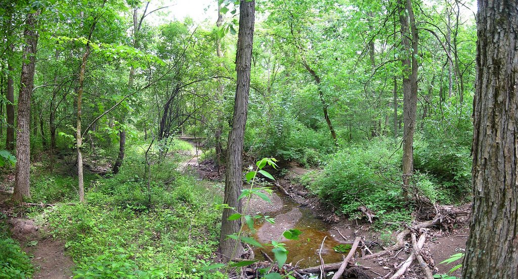 Near Sauer Ridge in Palos Preserves