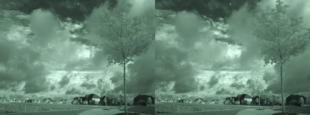 DSC034273dn NIRX-3D W stereoview -  6/23/07