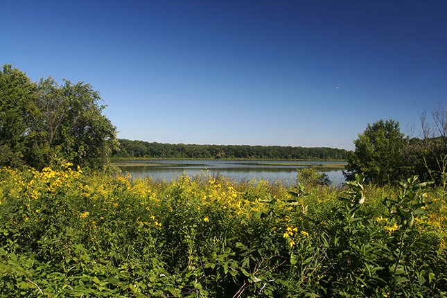 Long John Slough in Willow Springs, Illinois