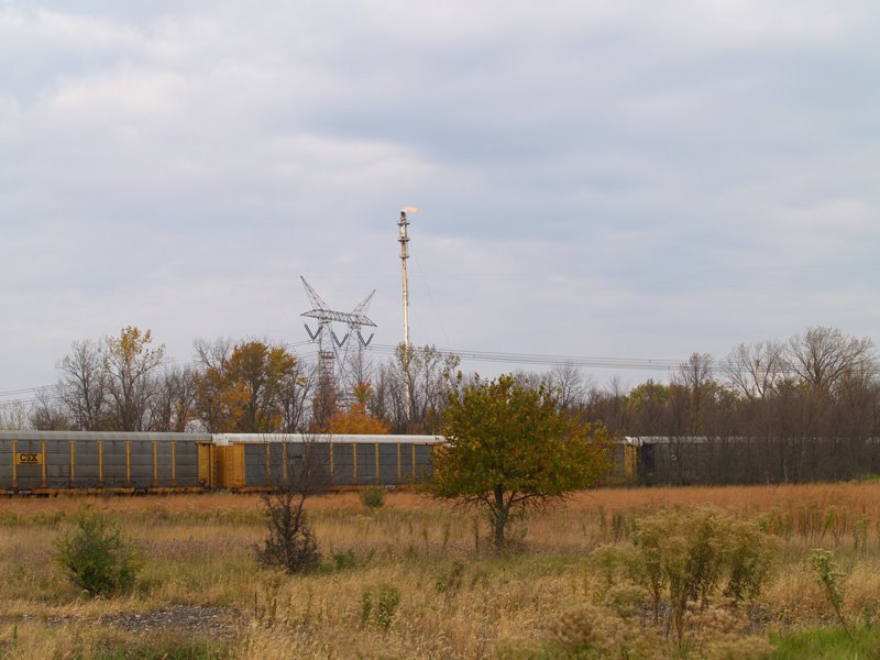 Industry surrounding Midewin National Tallgrass Prairie