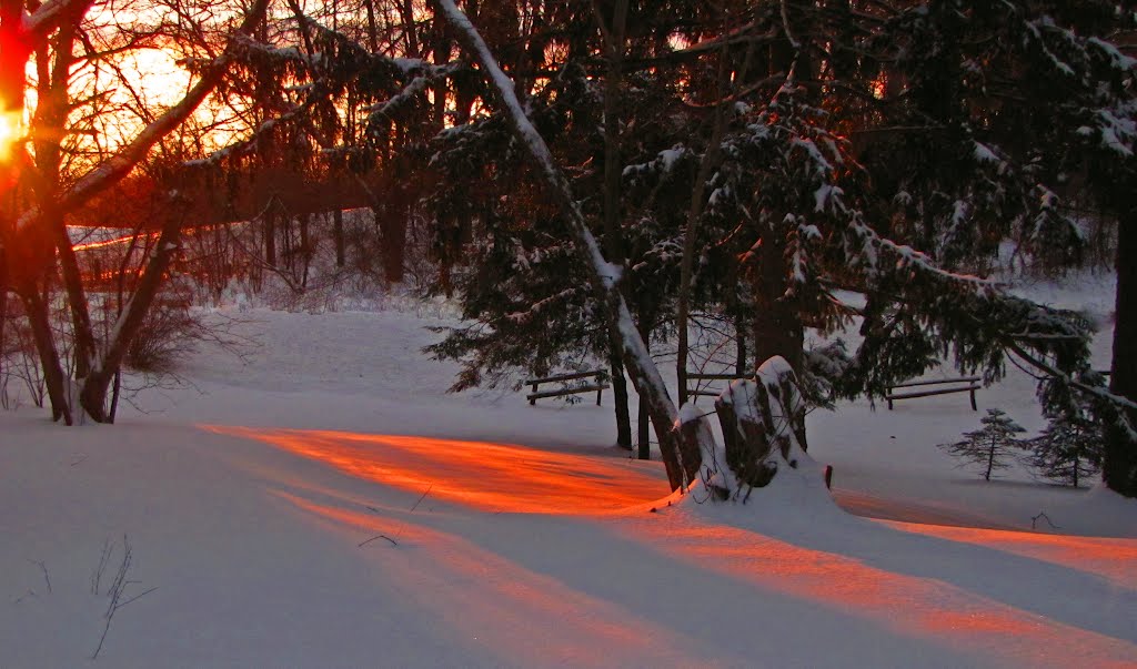 Warm Winter Sunrise