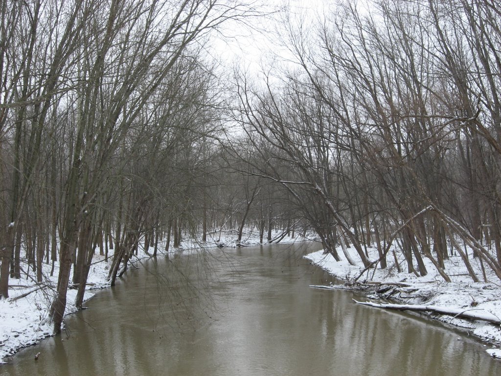 Winter on the River