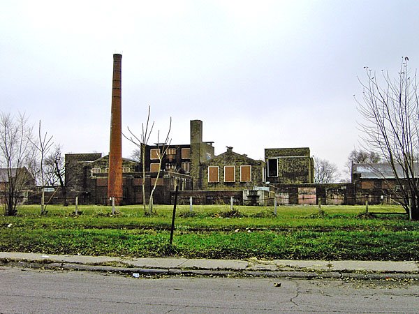 Froebel Rear