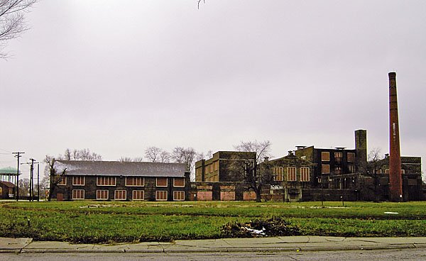 Froebel Rear