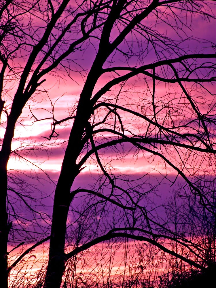 Griffith Sunset 2