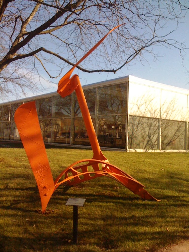 Birds of Fire by Ted Sitting Crow Garner