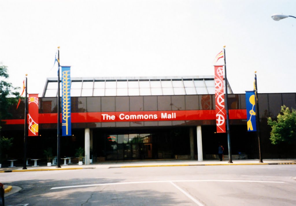 The Sears Building
