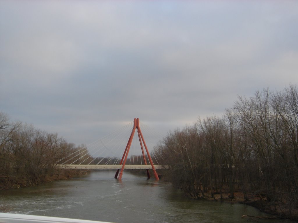 Cable Stay Bridge