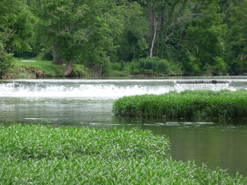 Dam on Indian Creek