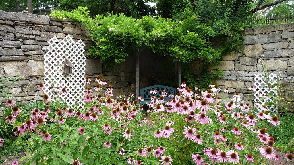 Governors Gardens