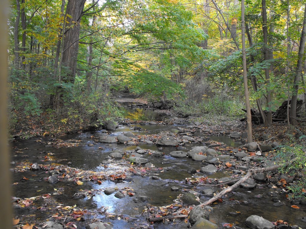 Horney creek