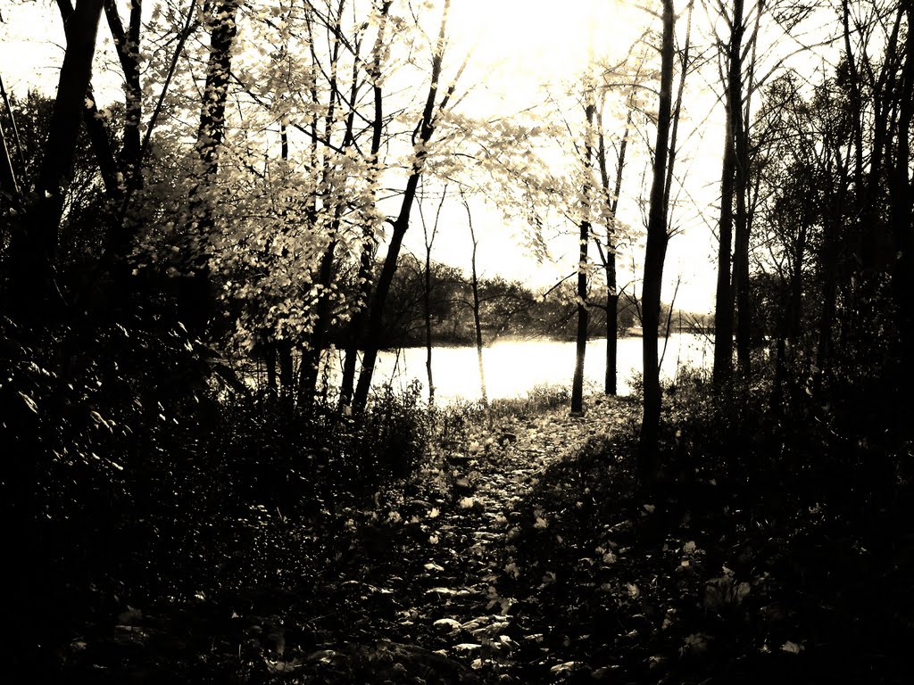 Path at Little Turtle