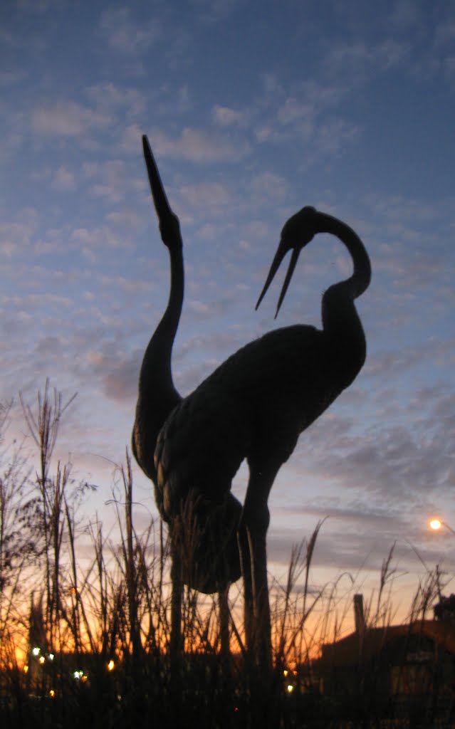 Cranes at Little Turtle Waterway