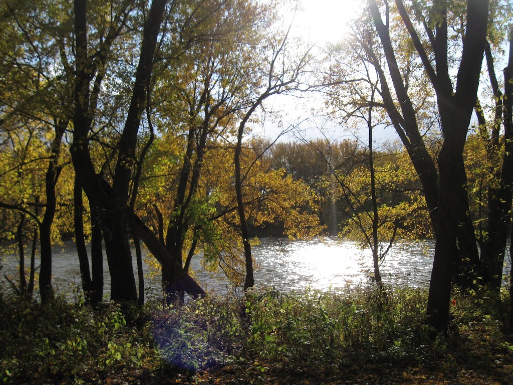 Trail at Little Turtle Waterway
