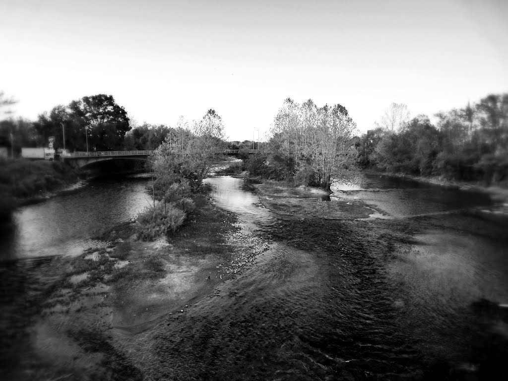Focus Eel River