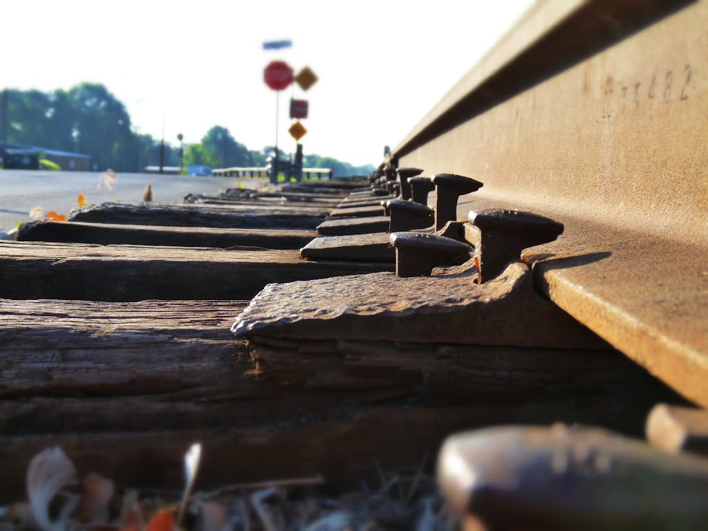 Rail Spikes
