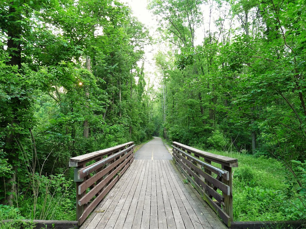 River Bluff Trail Bridge