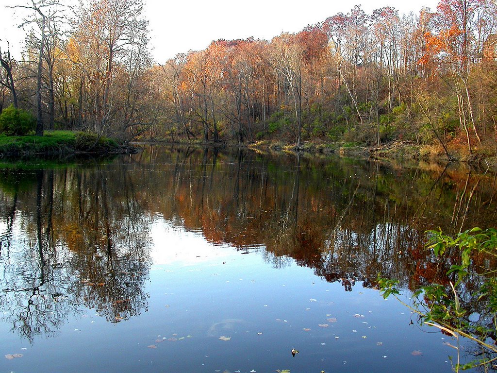 White River on Glass