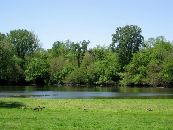 Killbuck Creek