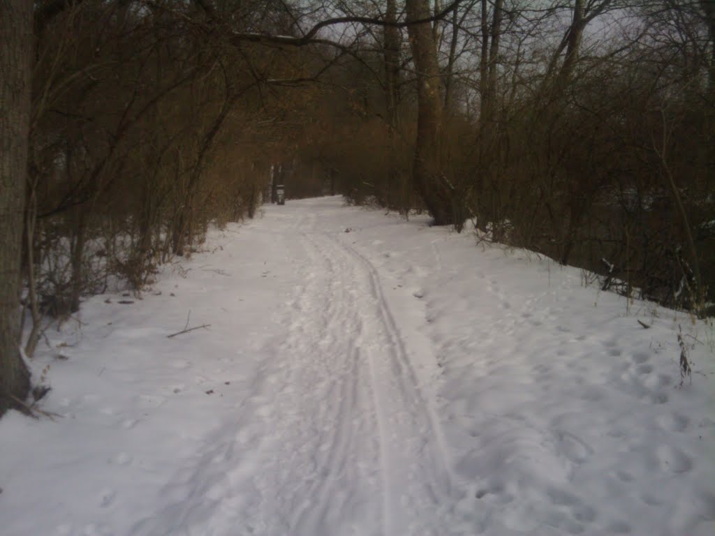 White River Trail
