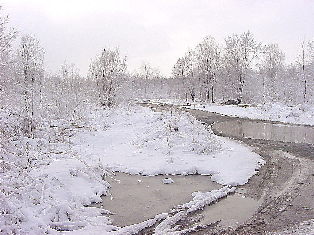 Snowy morning in Anderson