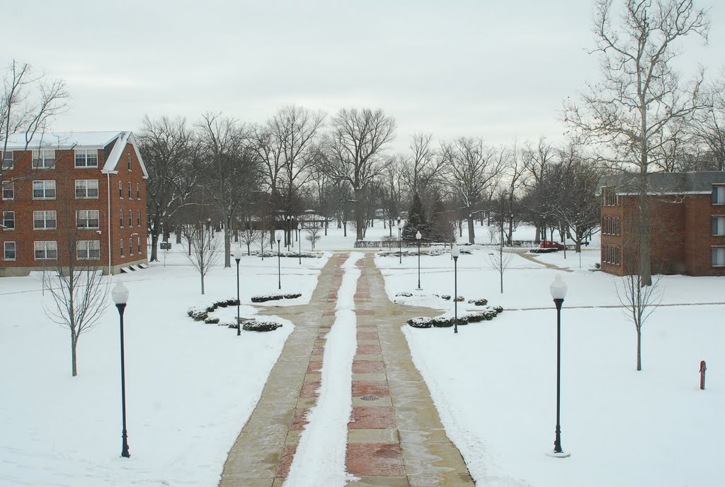 Anderson University