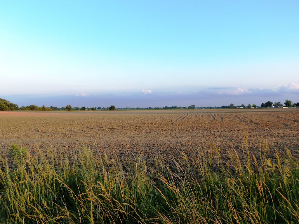 Farm