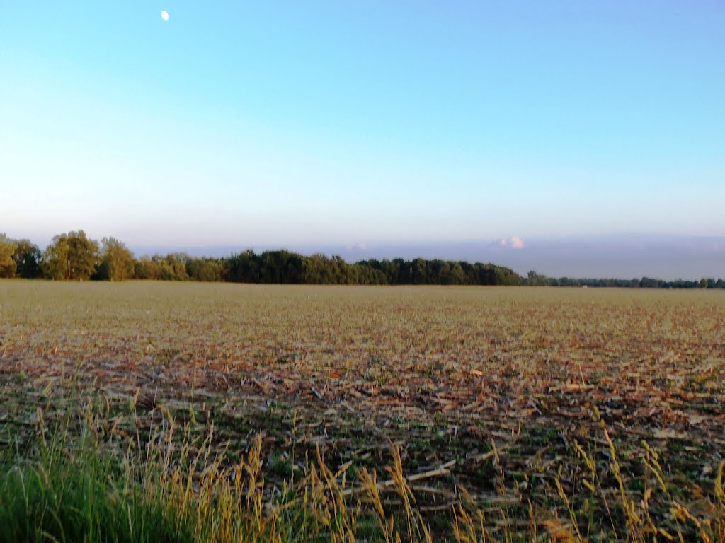 Farm