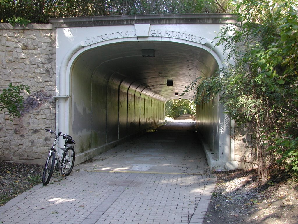 Cardinal Greenway Marion IN
