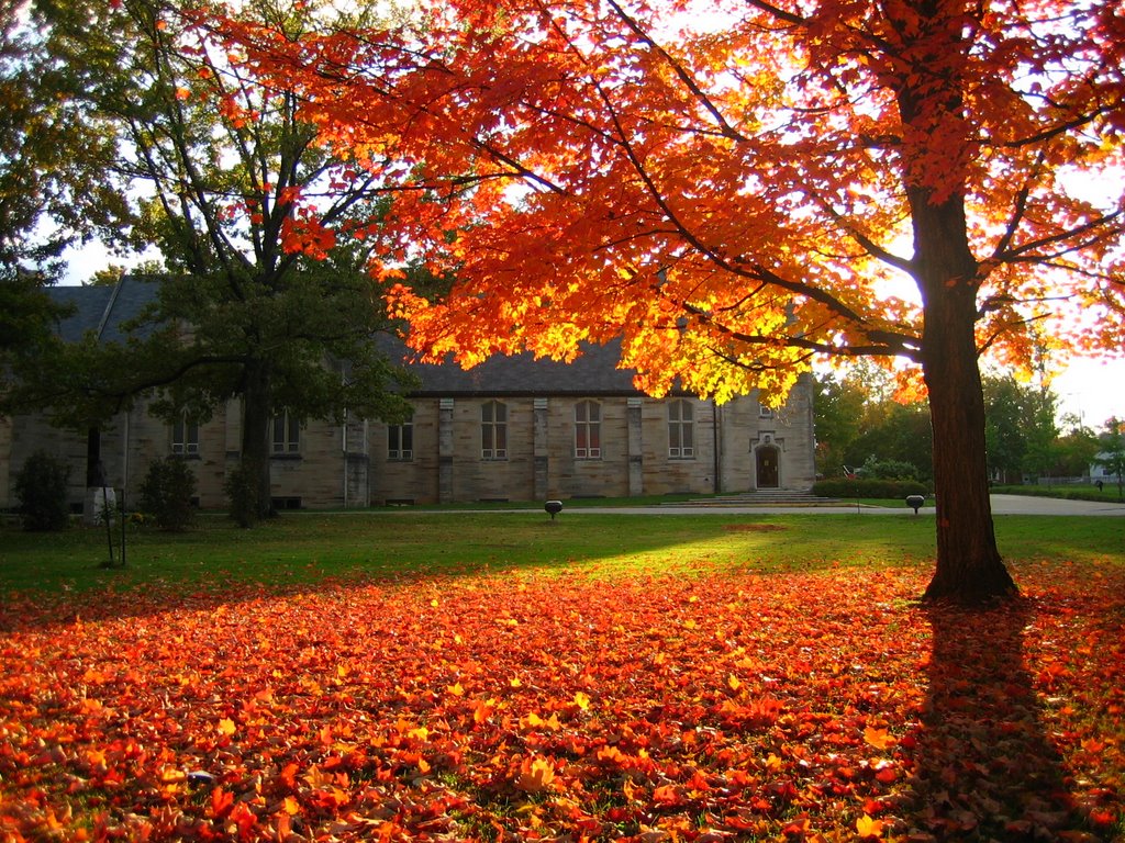 Fall in Bloomington