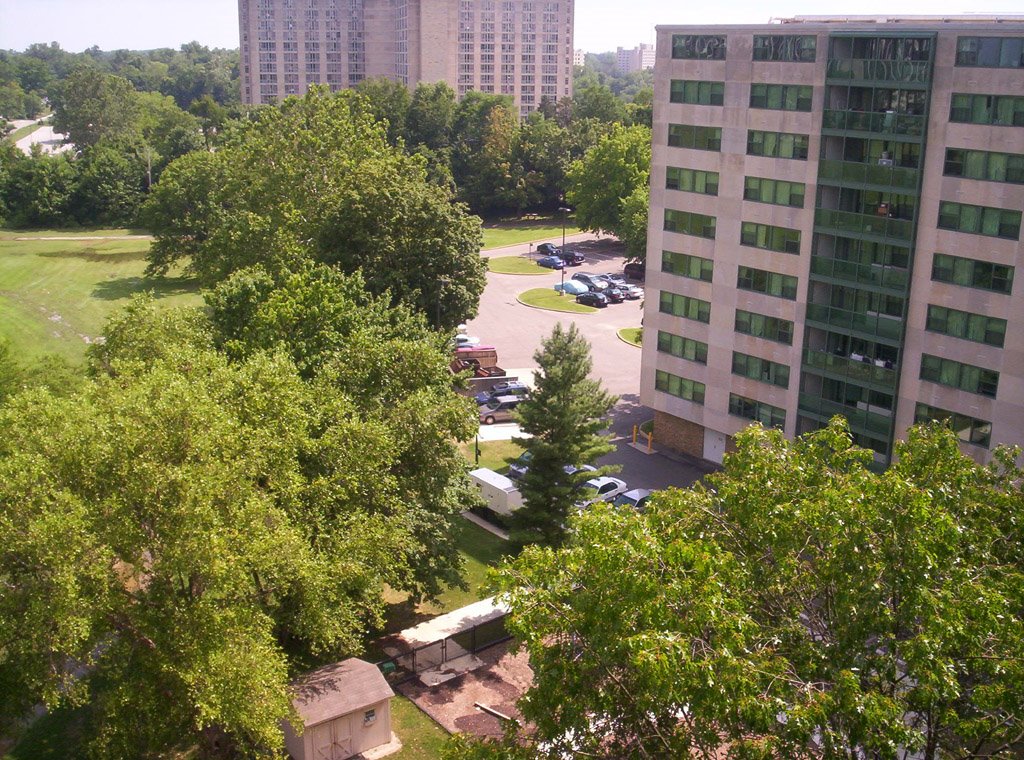Bloomington, Campus View