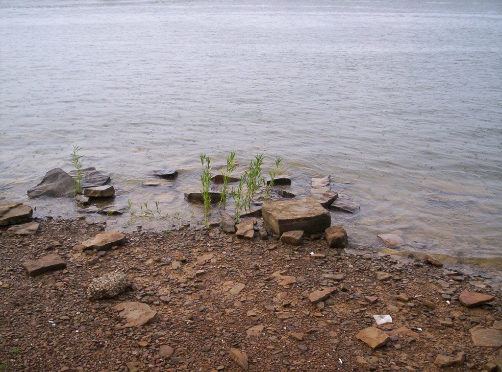 Bloomington, Lake Monroe