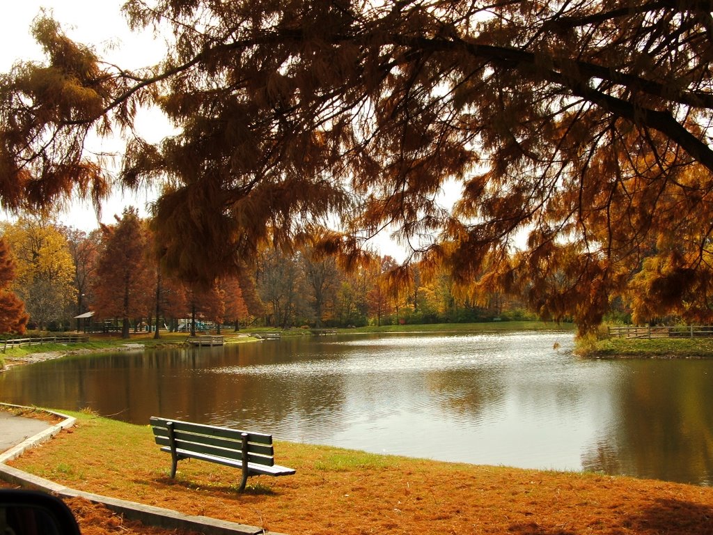 Krannert Park in Autumn
