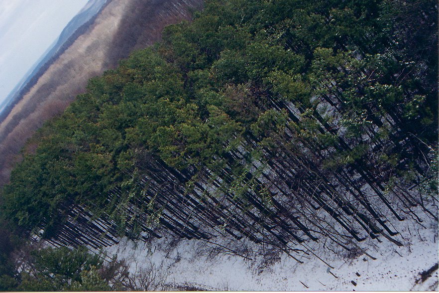 Hoosier National Forest in Winter